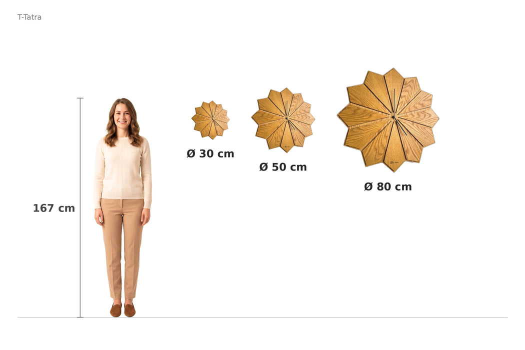 Size comparison – 167 cm reference