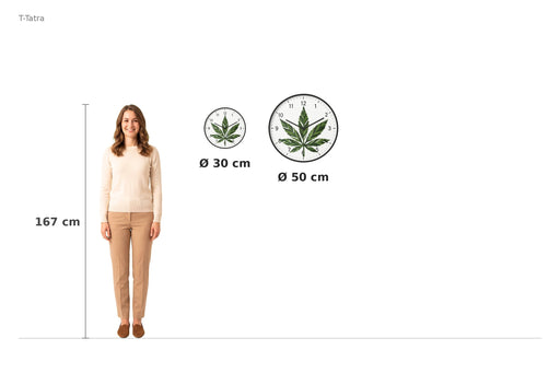 Size comparison – 167 cm reference