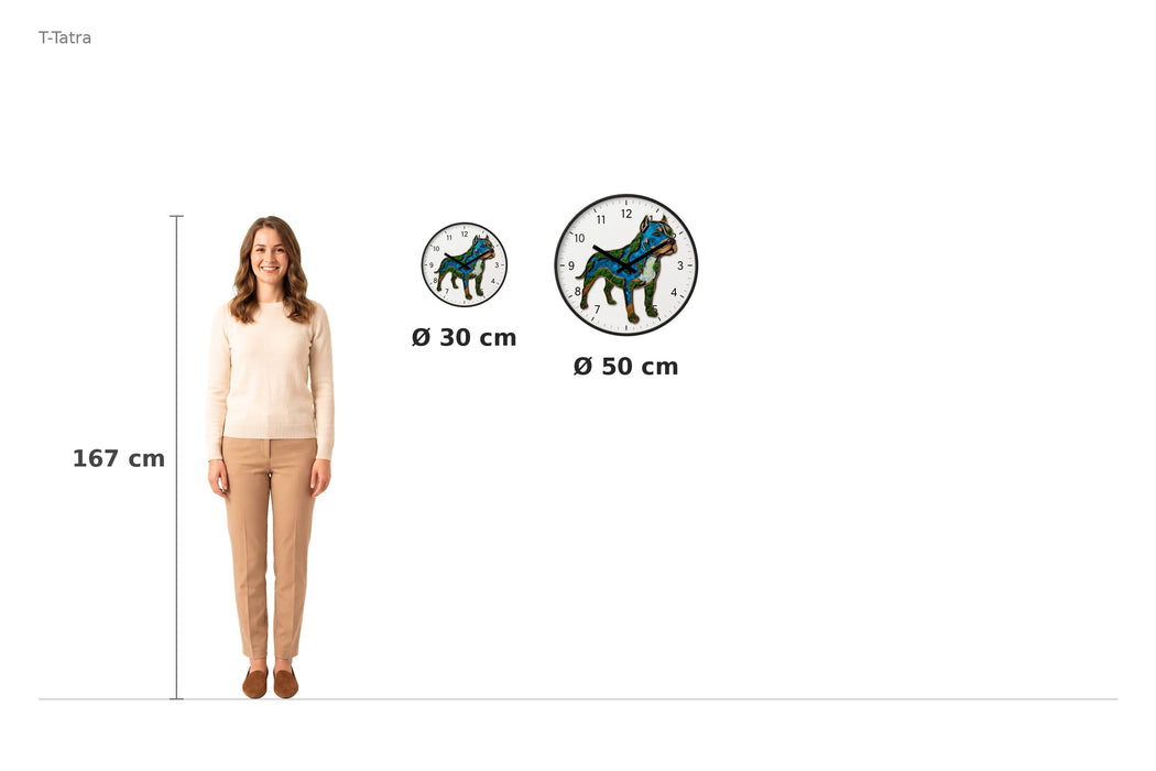 Size comparison – 167 cm reference