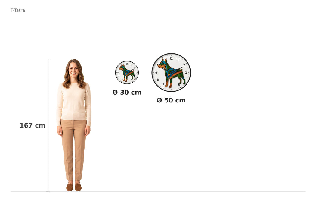 Size comparison – 167 cm reference
