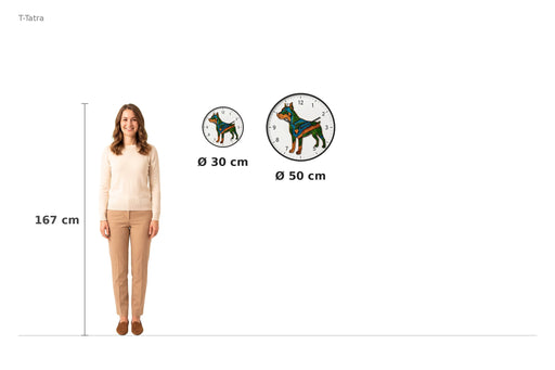 Size comparison – 167 cm reference