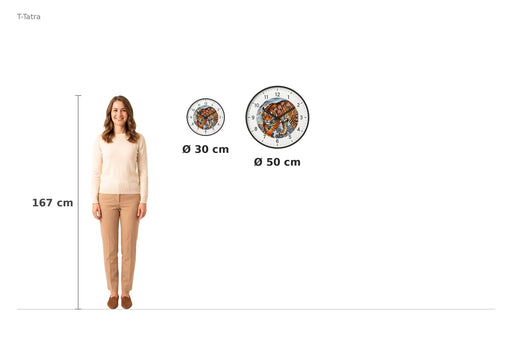 Size comparison – 167 cm reference