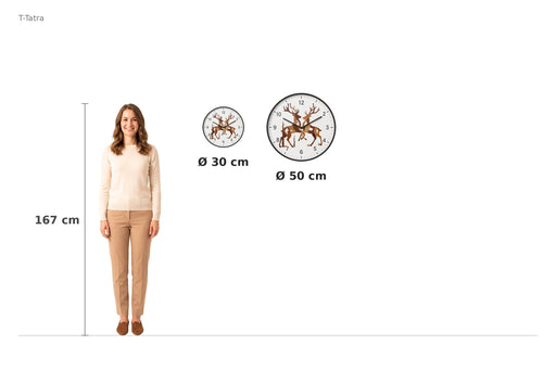 Size comparison – 167 cm reference