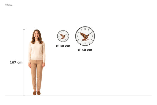 Size comparison – 167 cm reference
