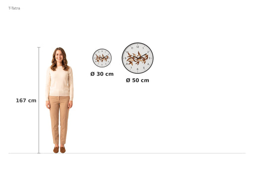 Size comparison – 167 cm reference