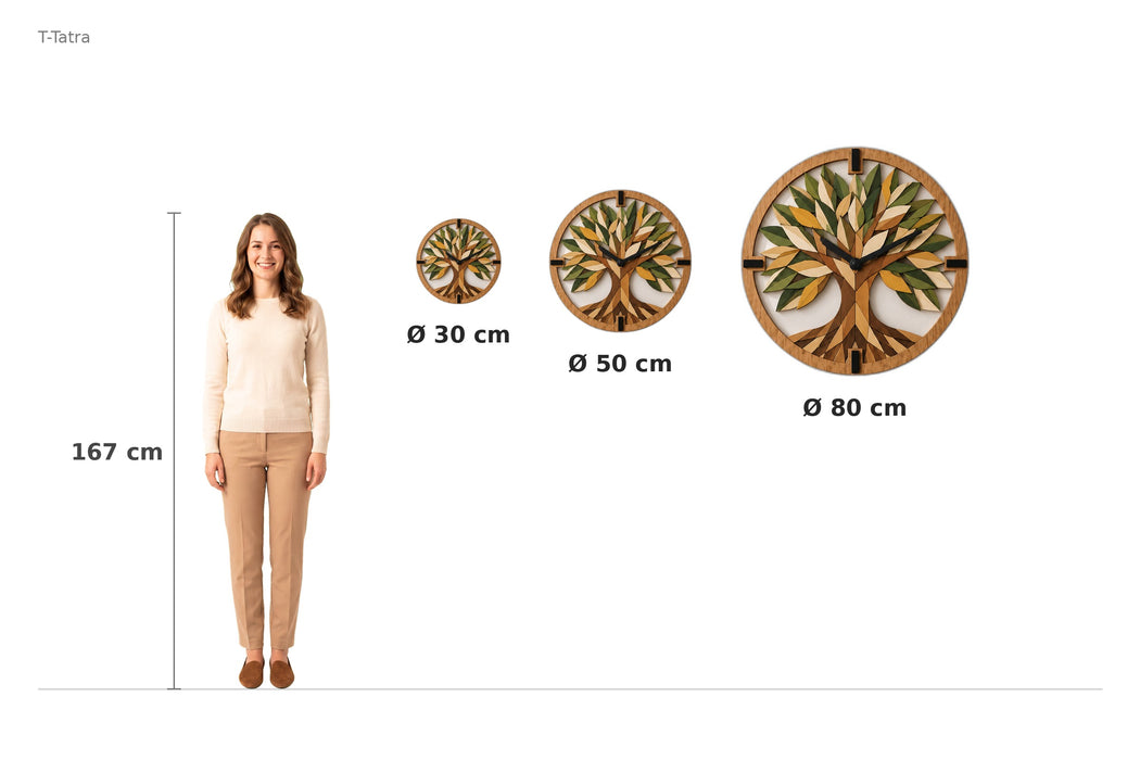 Size comparison – 167 cm reference