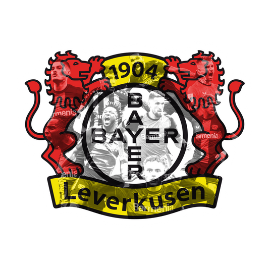 Svietiaci obraz Bayer 04 Leverkusen