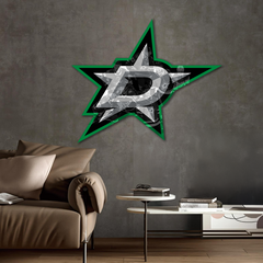 HDF poster Dallas Stars