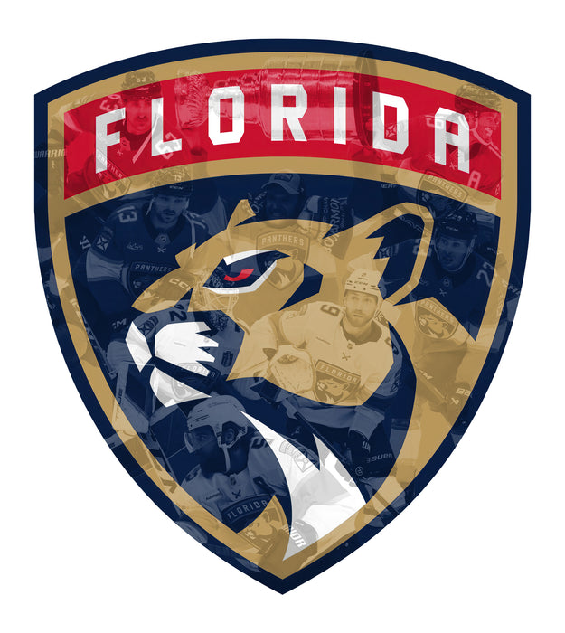 Shining poster - Florida Panthers